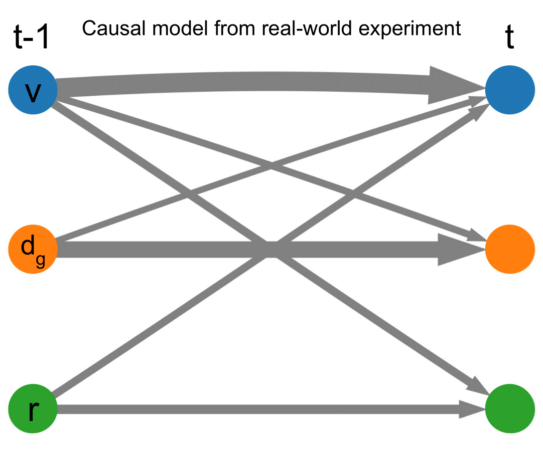 Causal Model from Real-World Experiment